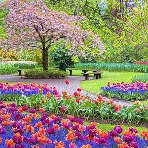 Meet your Posher, Delores